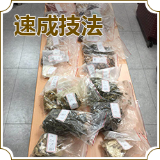 中醫(yī)醫(yī)院